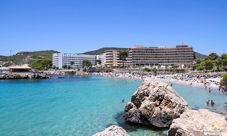 Matron Walging Vierde Camp de Mar - beach guide | Mallorca Beaches